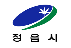 Flag of Jeongeup (1995-2001)